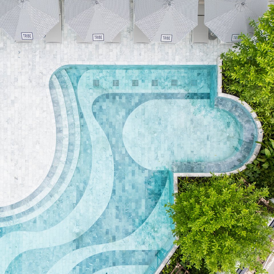 Aerial view of a serene swimming pool with wavy patterns, surrounded by lush green foliage. White umbrellas with "TRIBE" line the poolside, evoking a tranquil vibe.